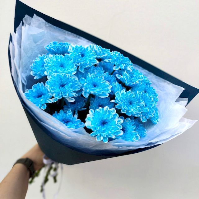 Из небесно-голубых хризантем 1