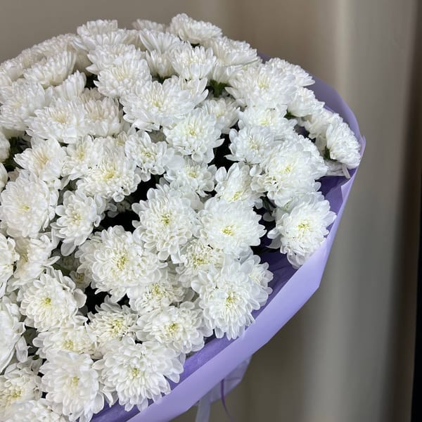 Пышный букет из 25 белых кустовых хризантем 4