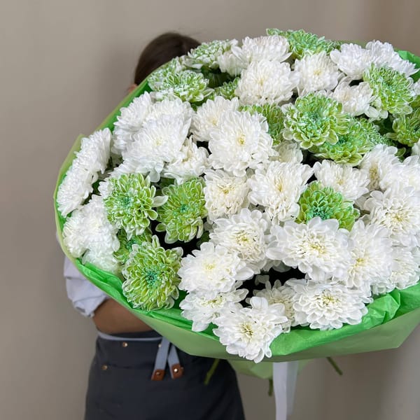 Букет из 10 белых кустовых хризантем и 5 зеленых кустовых хризантем 3